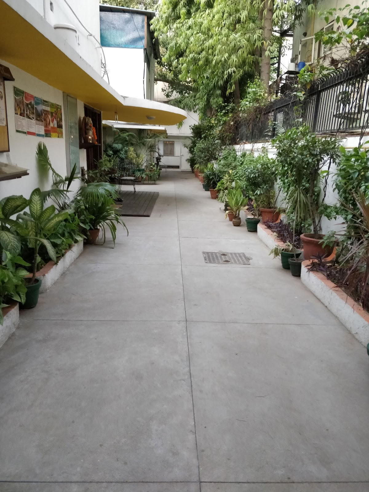 Sivananda Yoga, Zuid-Delhi