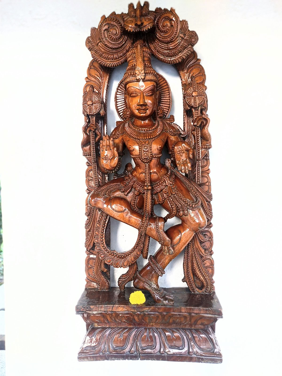Sivananda Yoga, Zuid-Delhi
