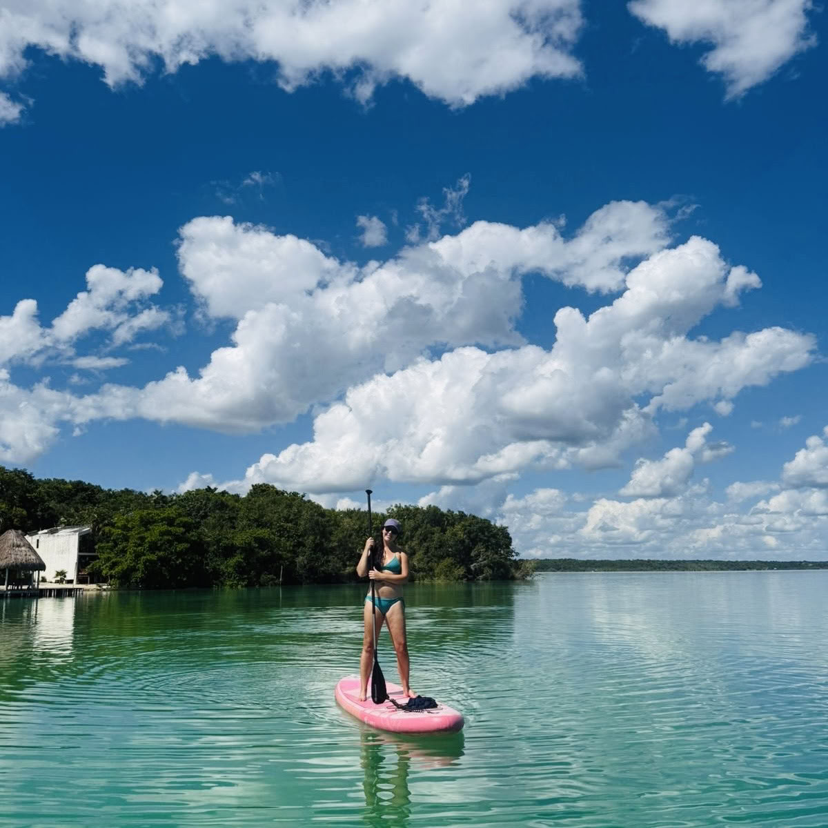 Vikara Wellness-retraites en holistische gezondheid