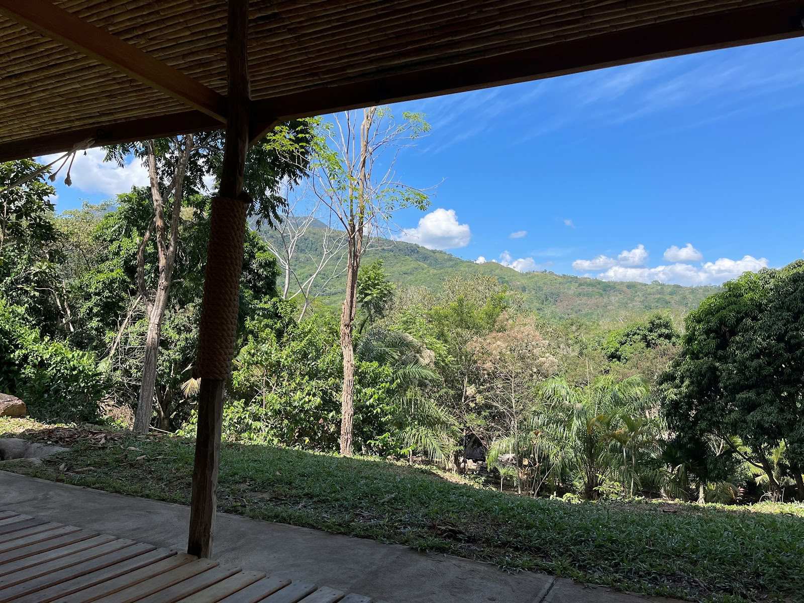Hotel Cordillera Escalera Ecolodge / Tarapoto