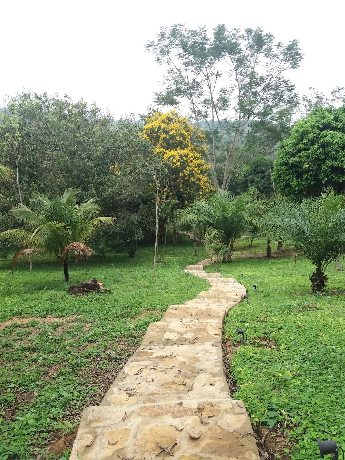 Hotel Cordillera Escalera Ecolodge / Tarapoto