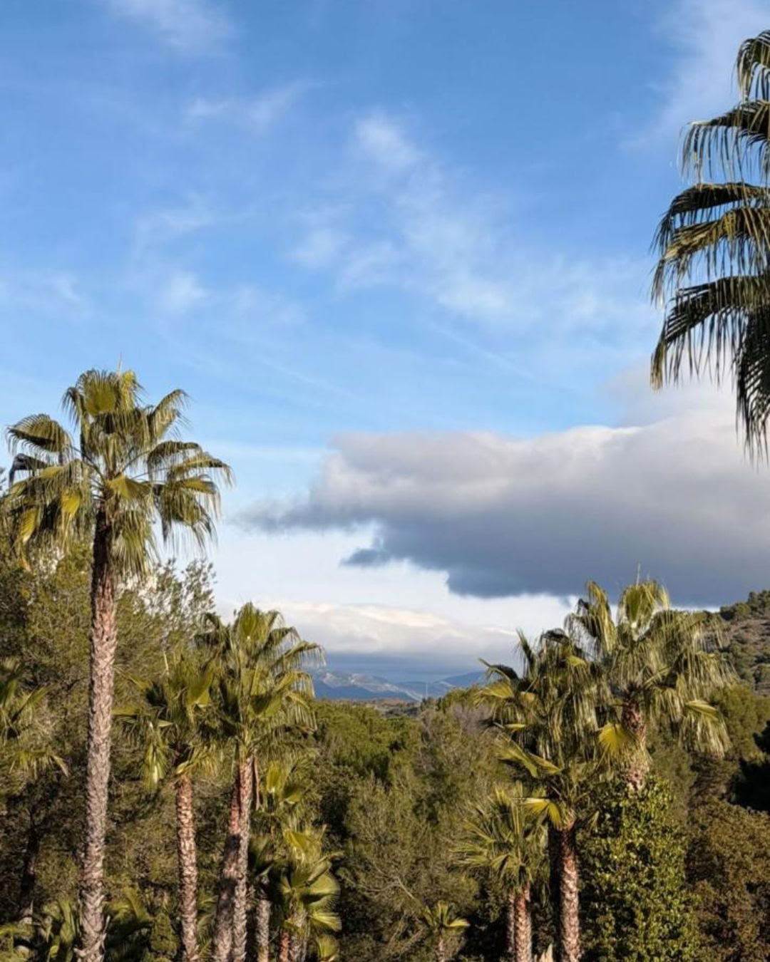 Shanti-Som Wellbeing Retreat