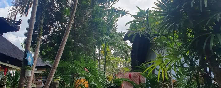 Bali Bliss Wellness Ubud Centrum