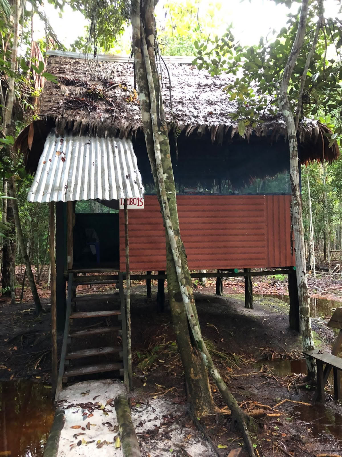 Aya Madre Healing Center