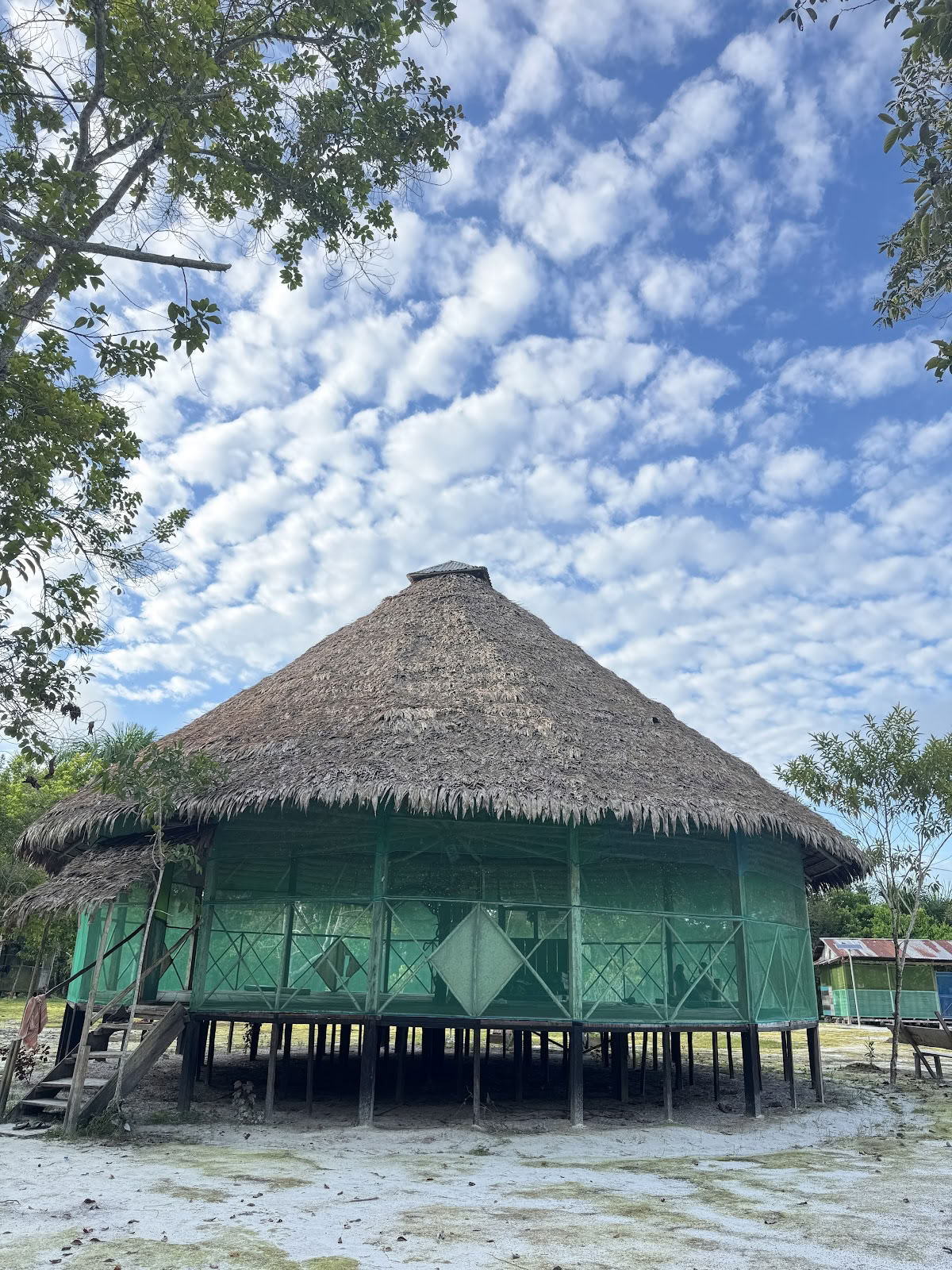 Aya Madre Healing Center
