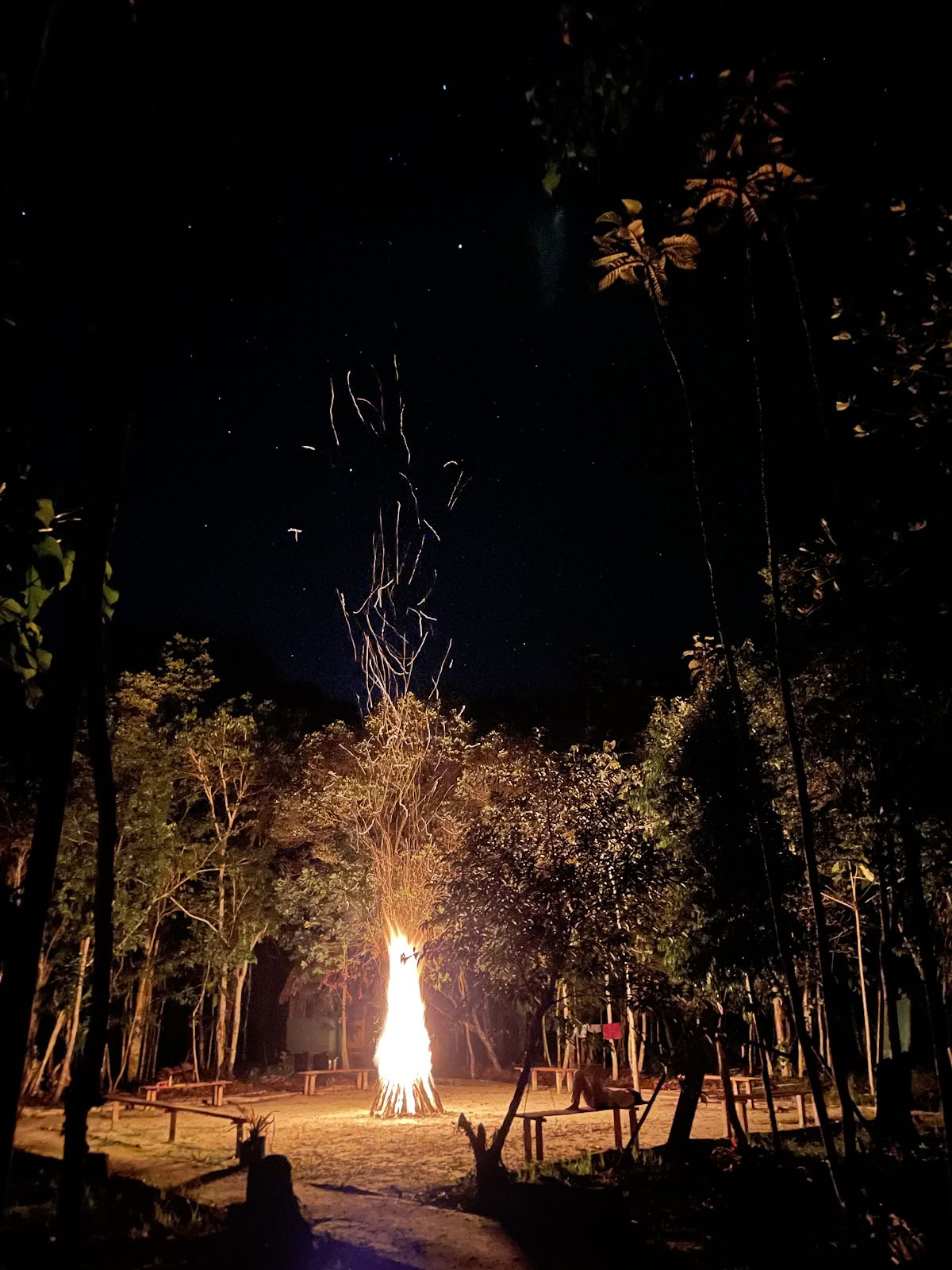 Aya Madre Healing Center