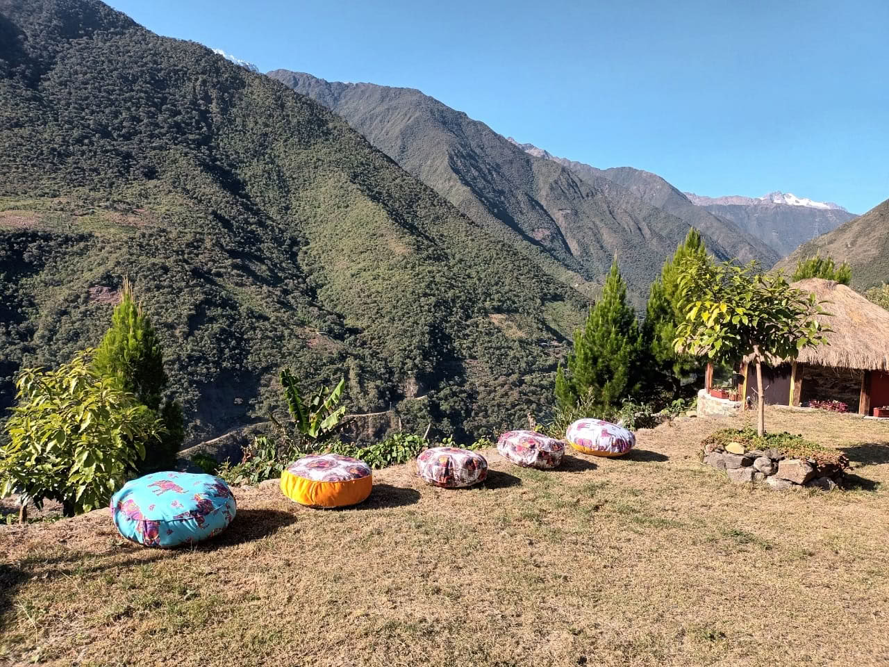 Onaya Ayahuasca-retreat