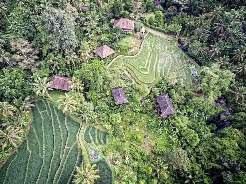 Purna Yoga Bali | Ashtanga-yogaretreats en -trainingen