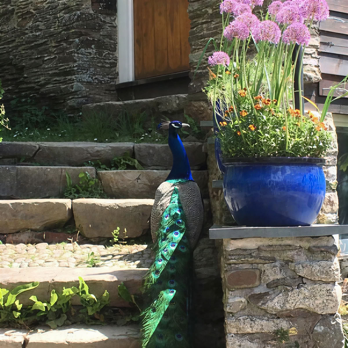 Lower Marsh Farm