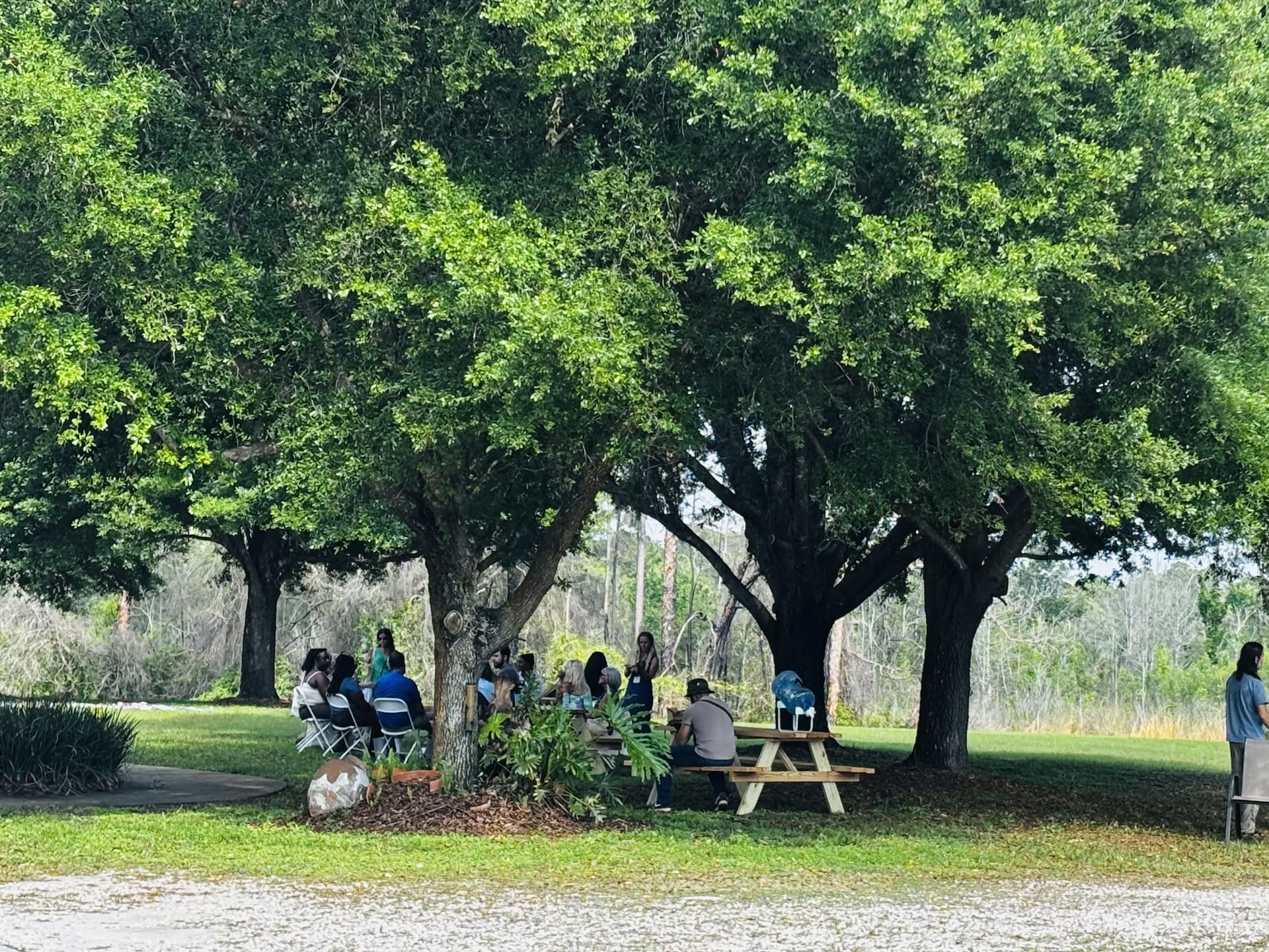 Inekawa Foundation
