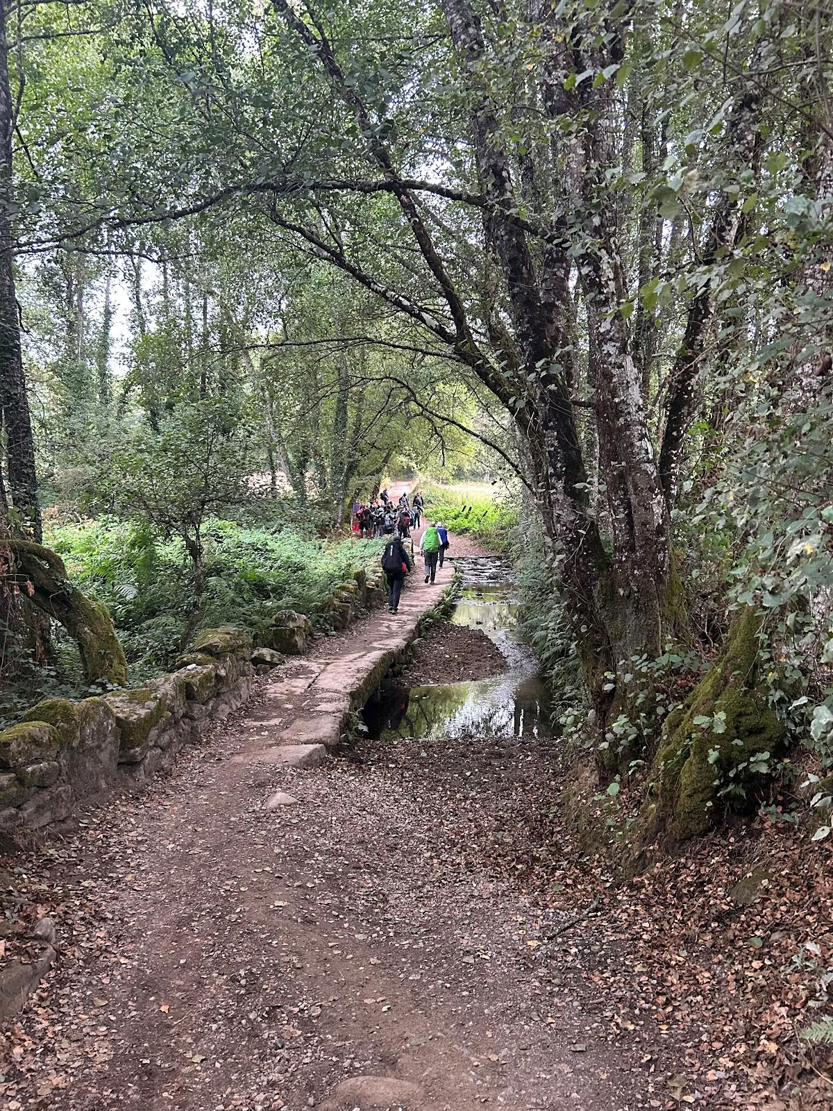 Camino Compostela