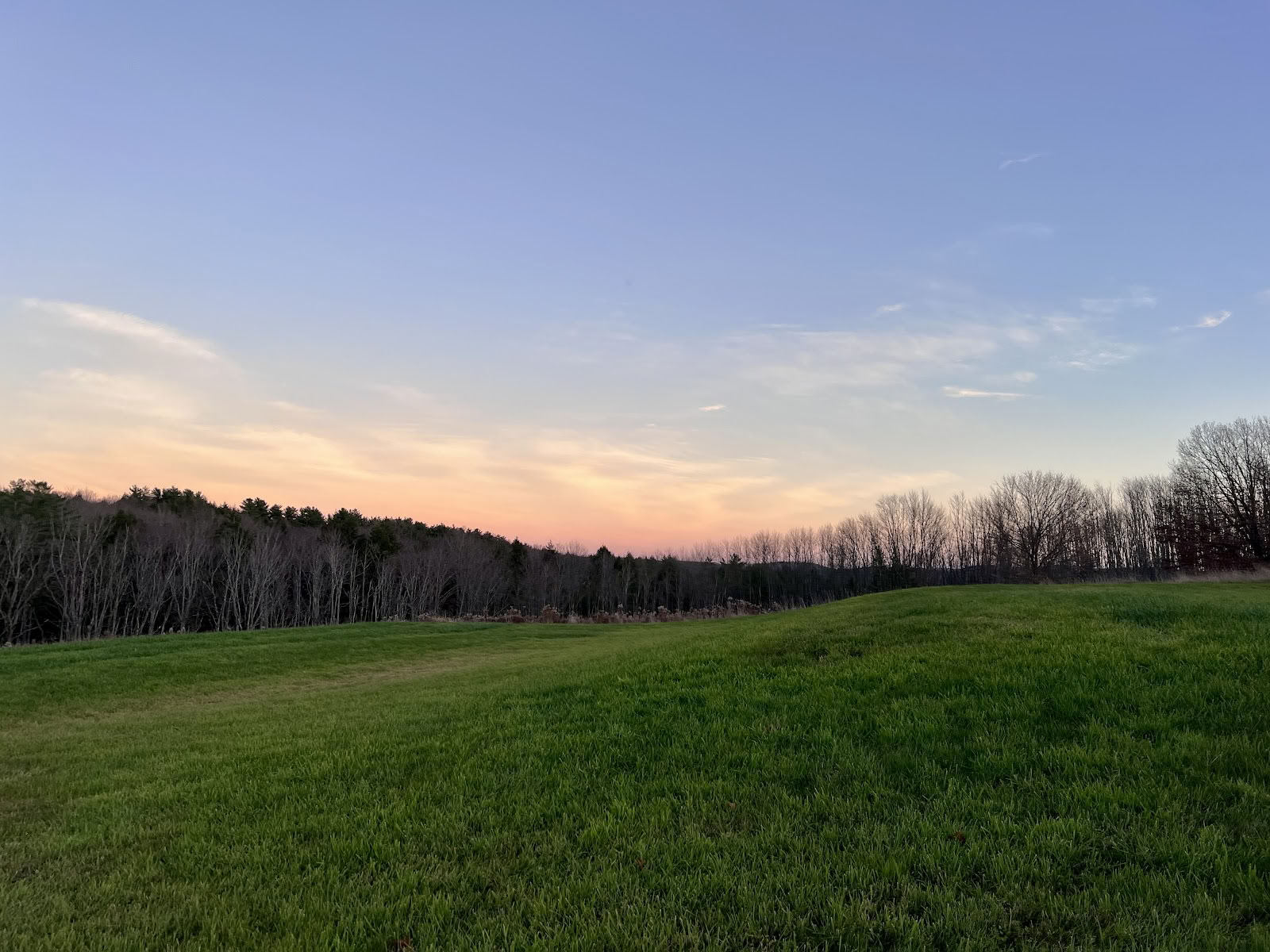 Samye-hermitage New York