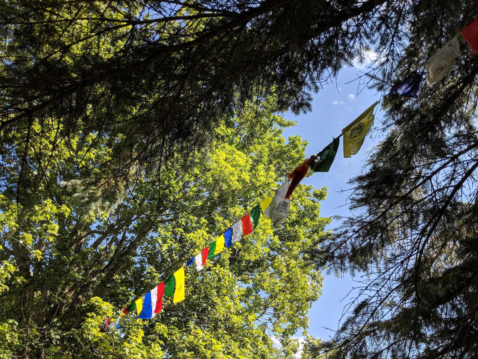Samye-hermitage New York