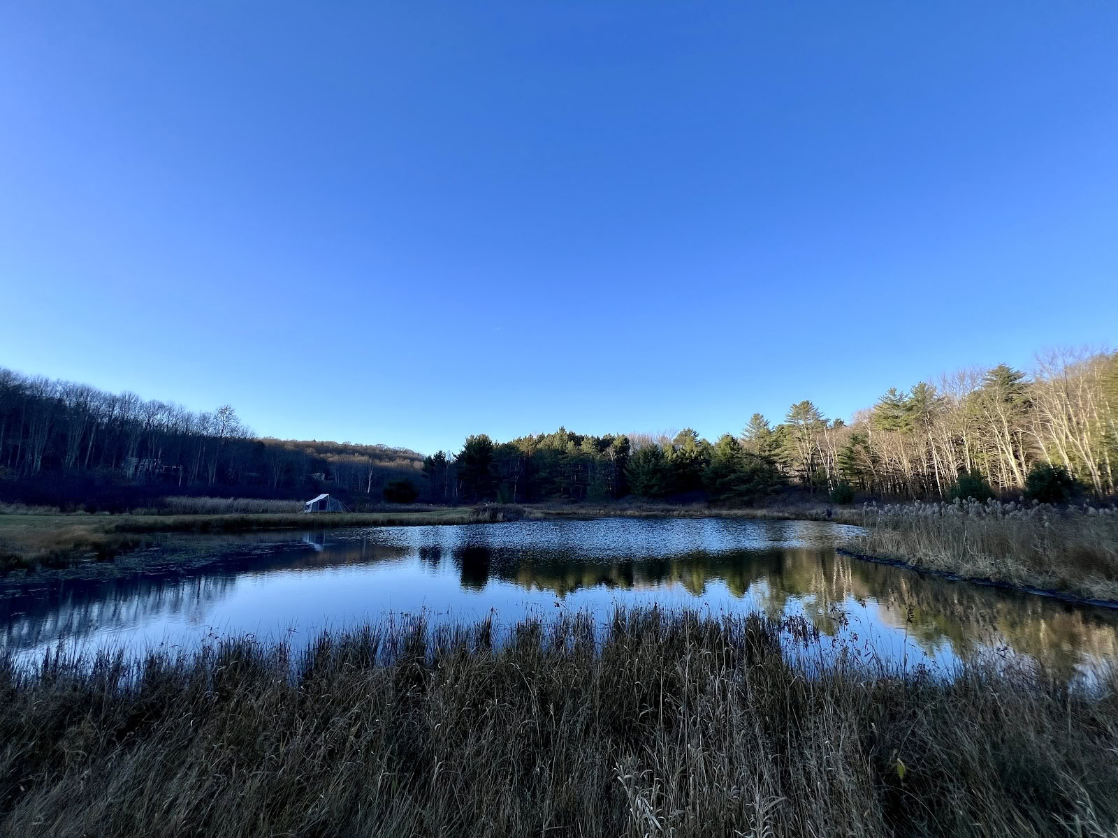 Samye-hermitage New York