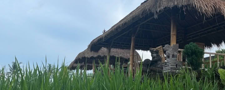 One Fit Wellness Bali