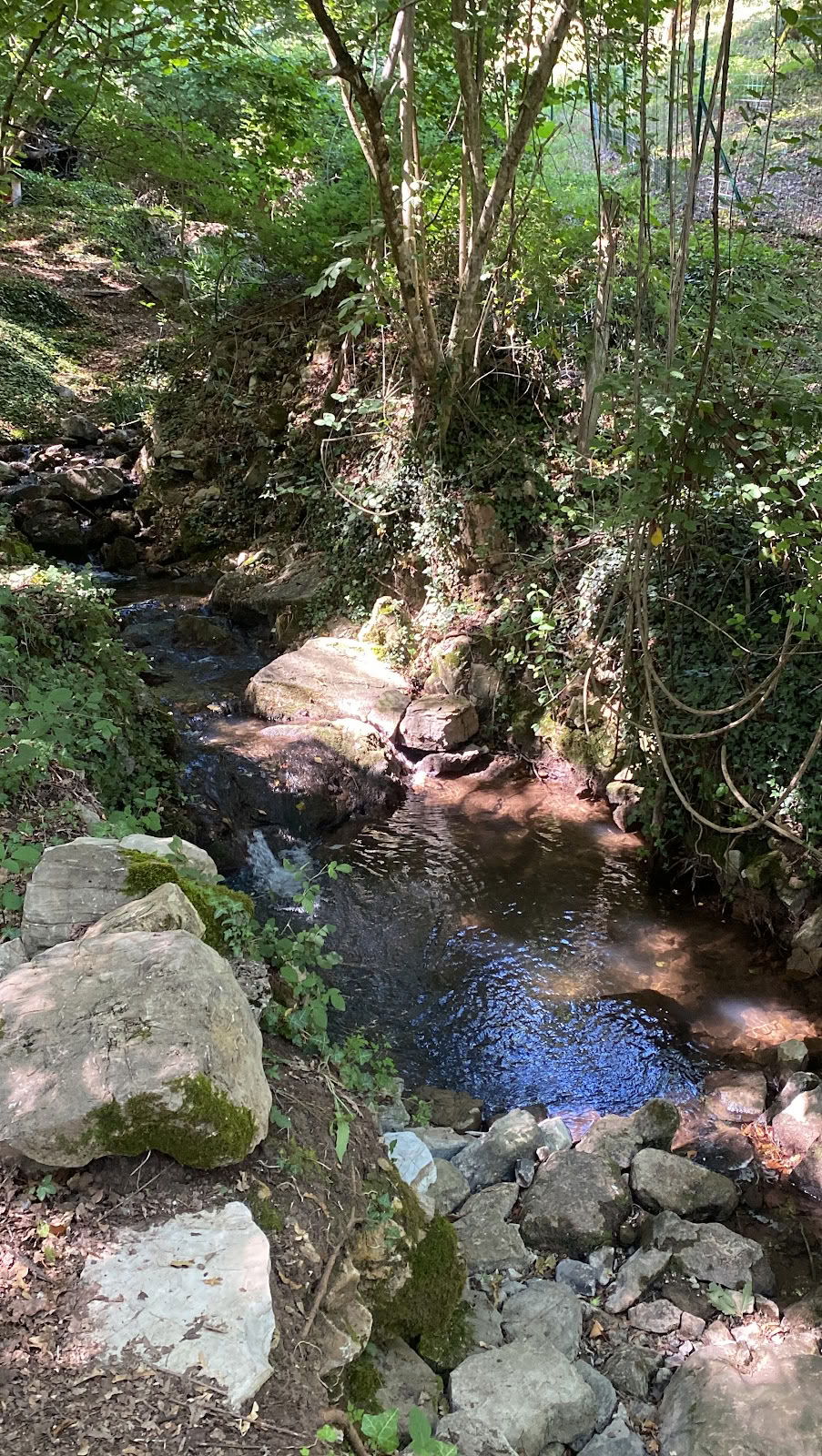 ASHA Retreat & Community