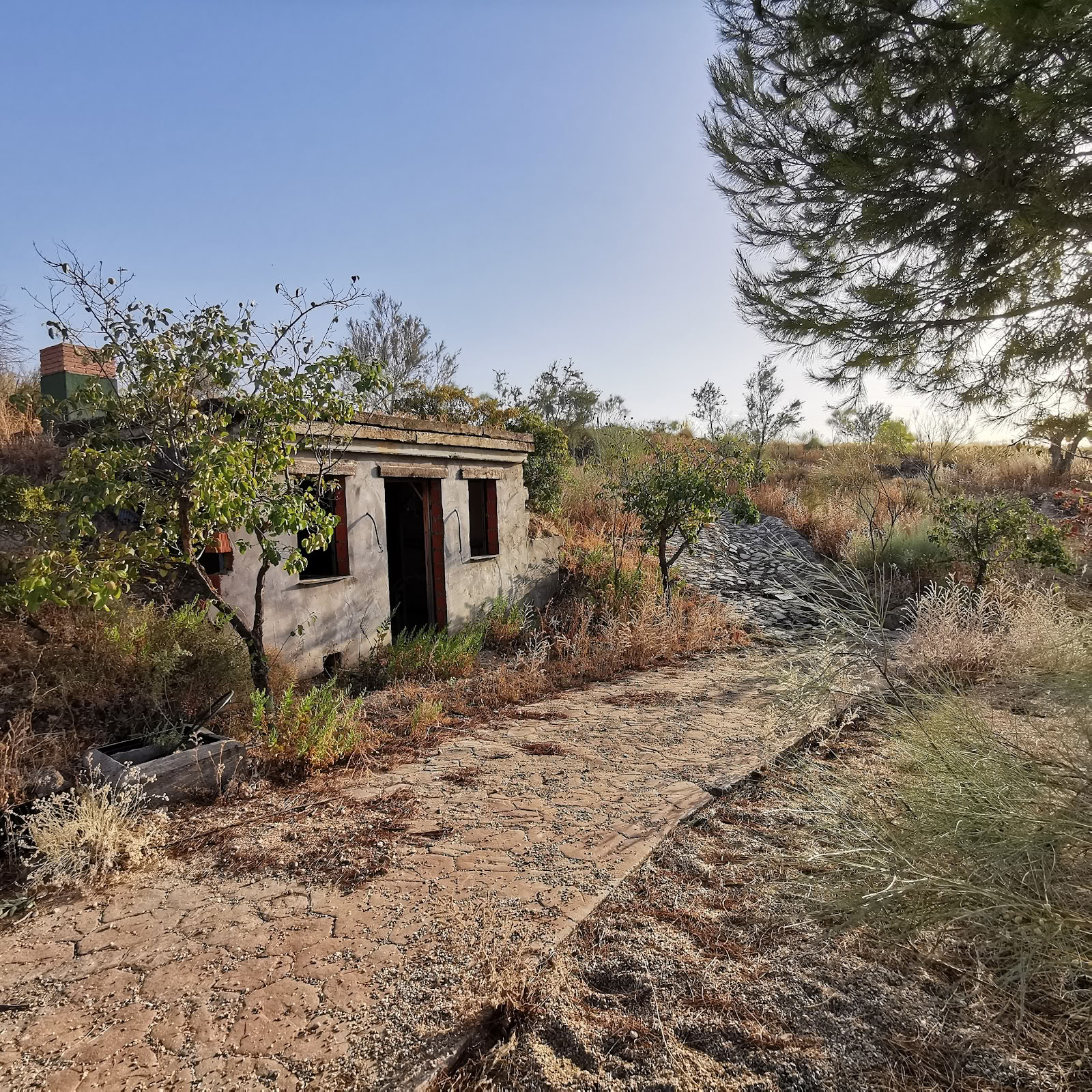Qiterra Finca voor retraites, opleidingen en workshops