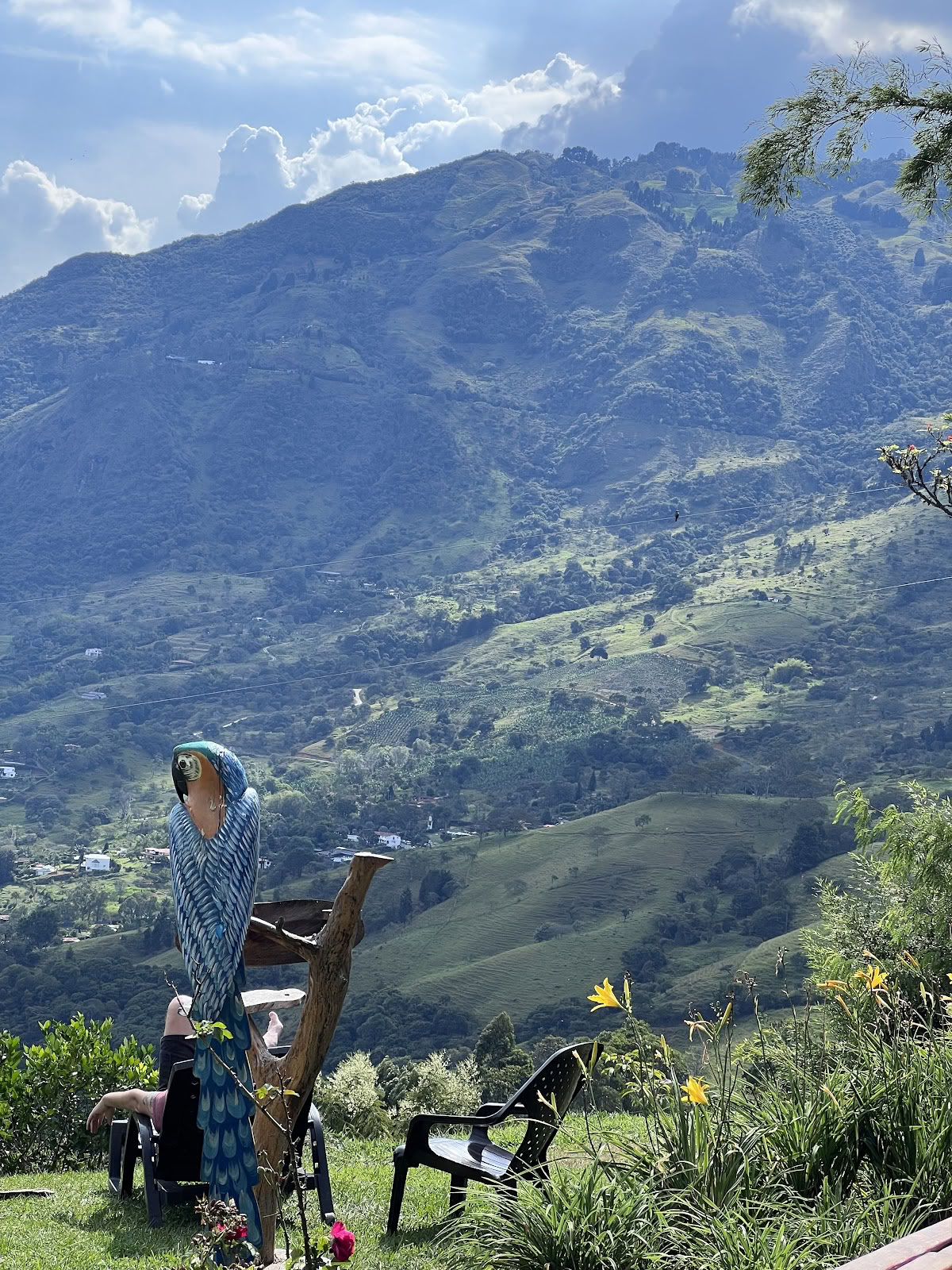 Harmonica Ayahuasca Retraite Colombia (voorheen Guacamayo)