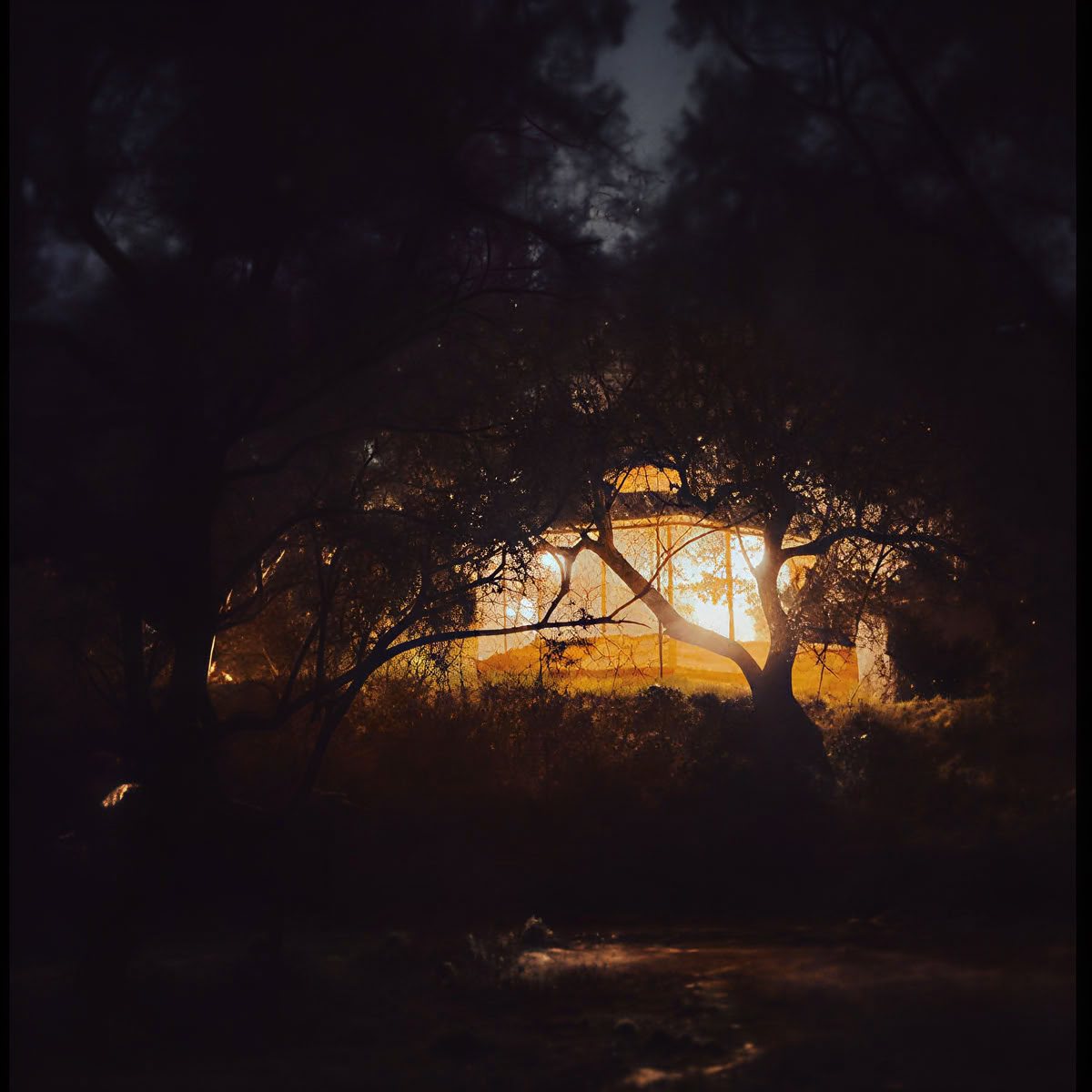 Ananda Bos