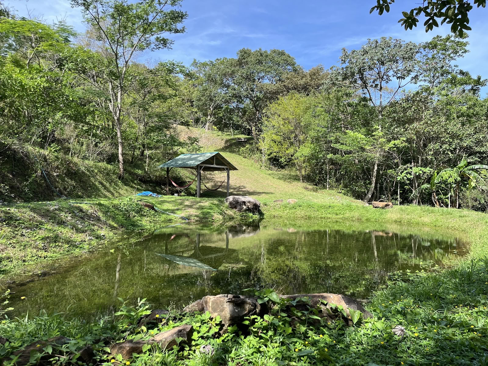 De Jungle Hub
