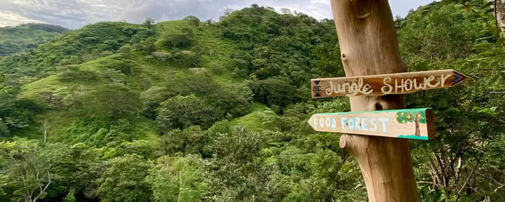 De Jungle Hub