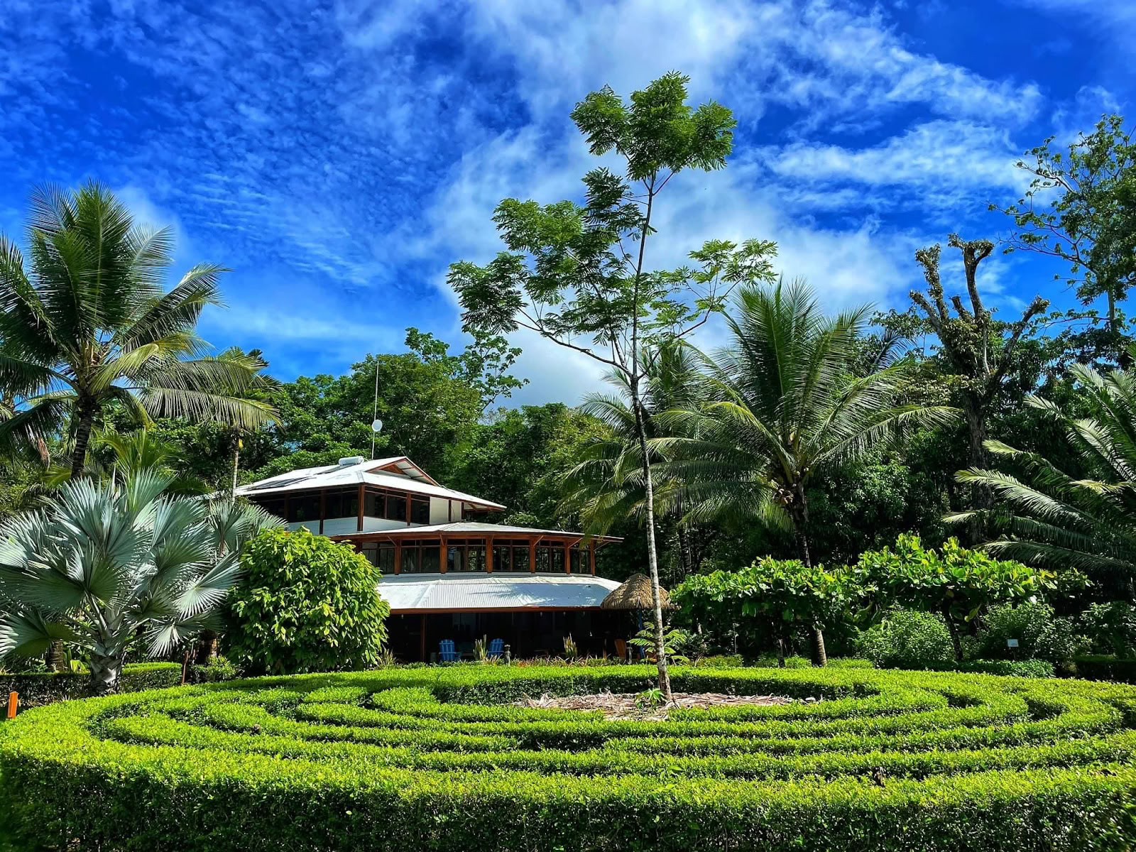 Blauwe Osa Yoga Retreat en Spa