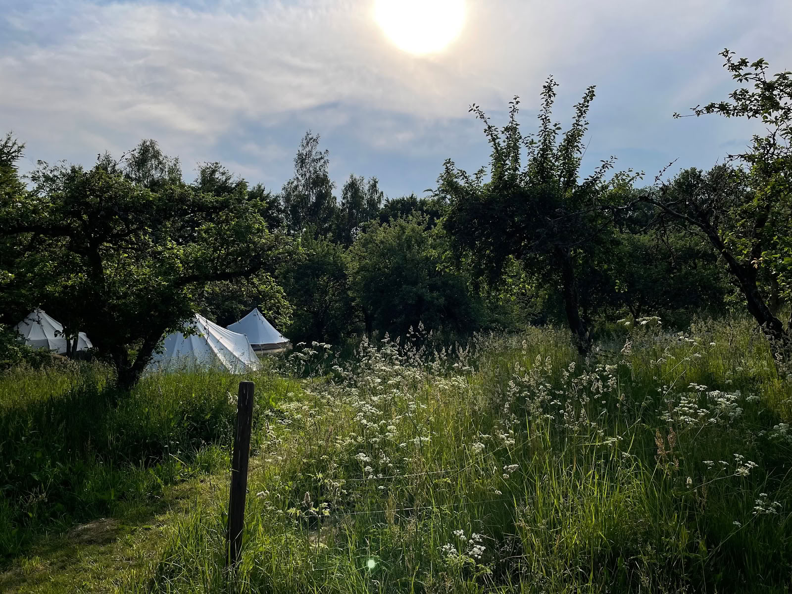 Nina Medicina Retreats, Trainingen, Ademwerk & Cacaoceremonies