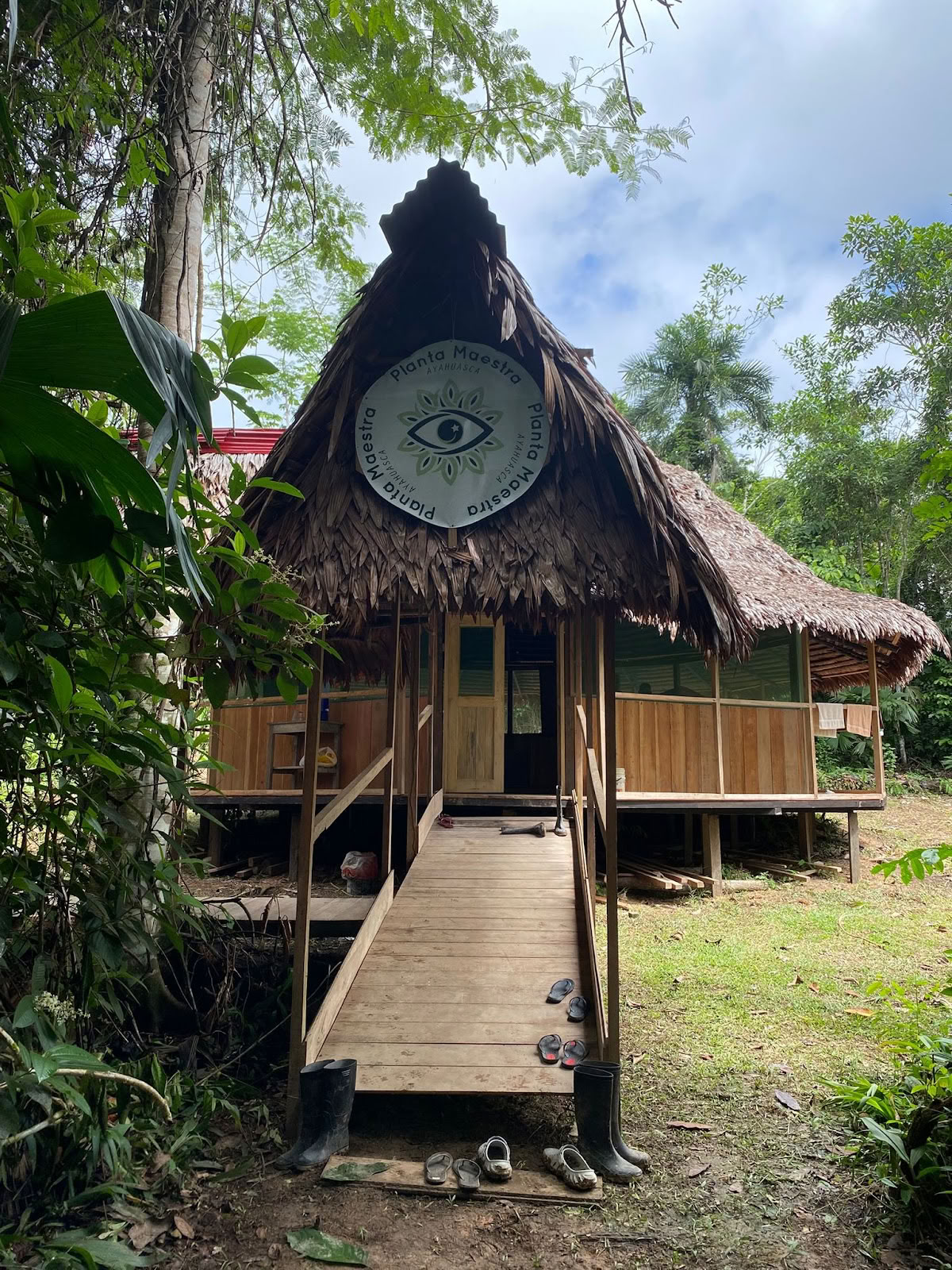 Planta Maestra Ayahuasca Genezingscentrum, Iquitos, Peru