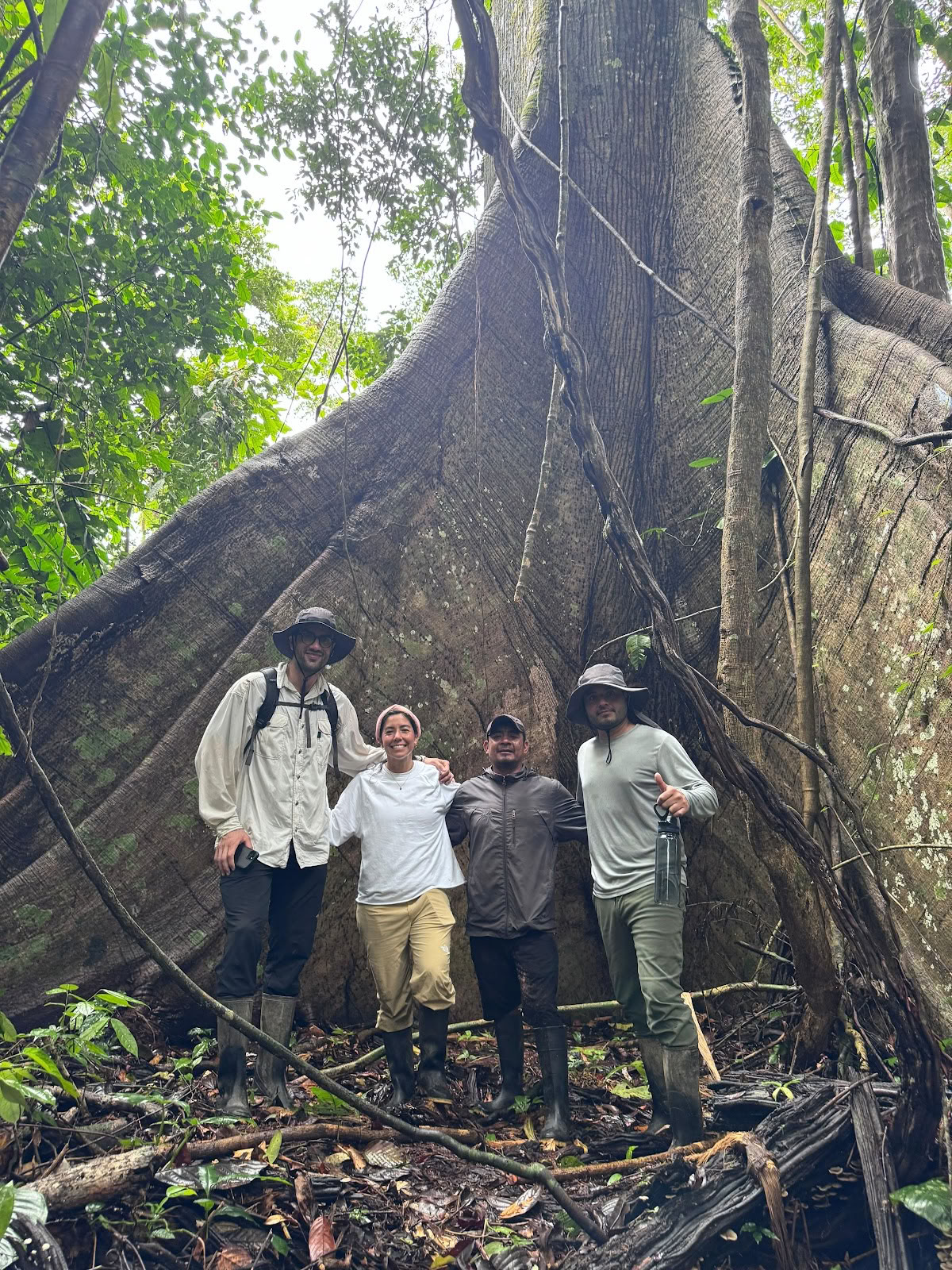 Planta Maestra Ayahuasca Genezingscentrum, Iquitos, Peru