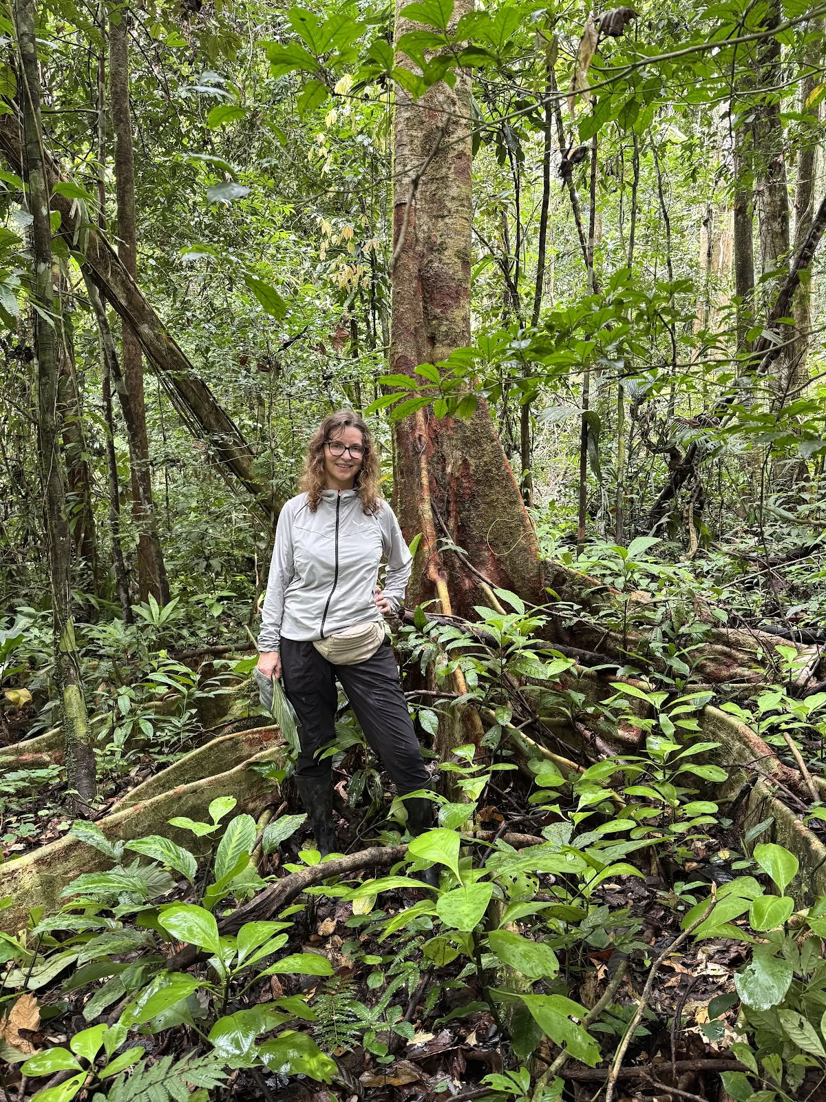 Planta Maestra Ayahuasca Genezingscentrum, Iquitos, Peru