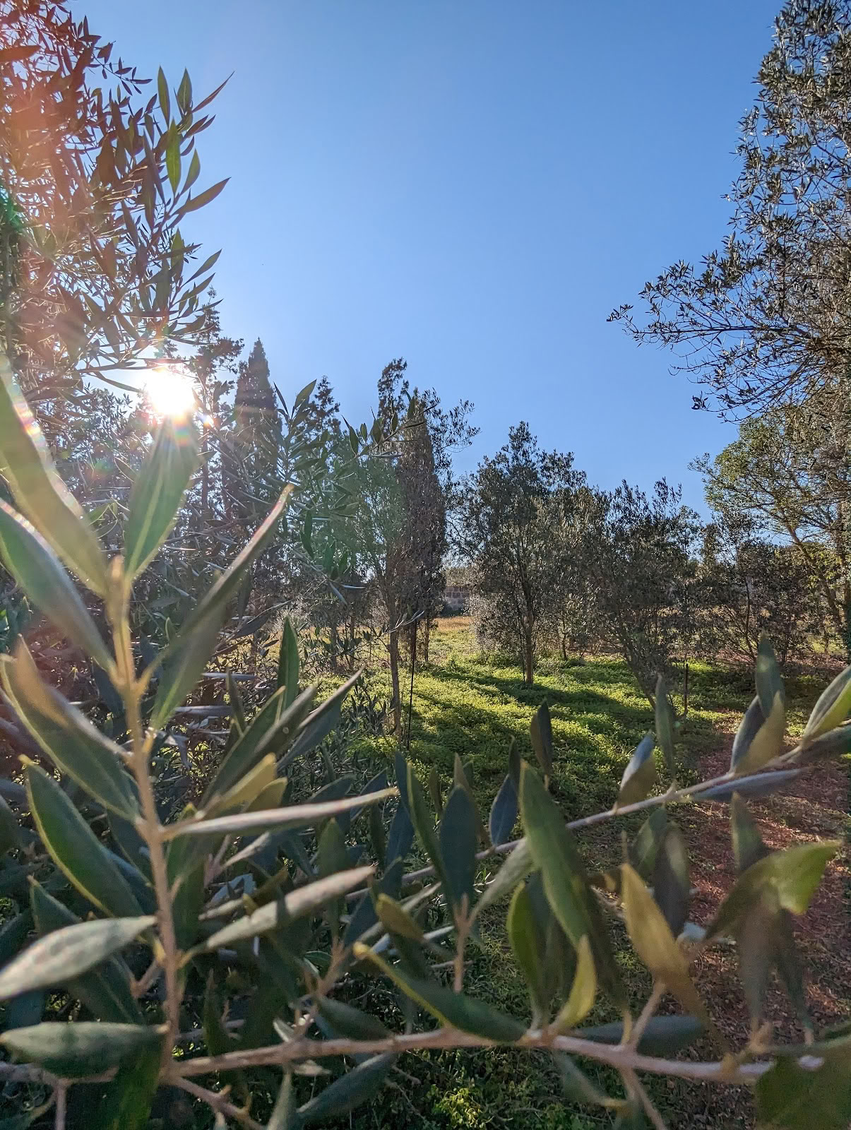 Ziels Tuin Retreats Mallorca