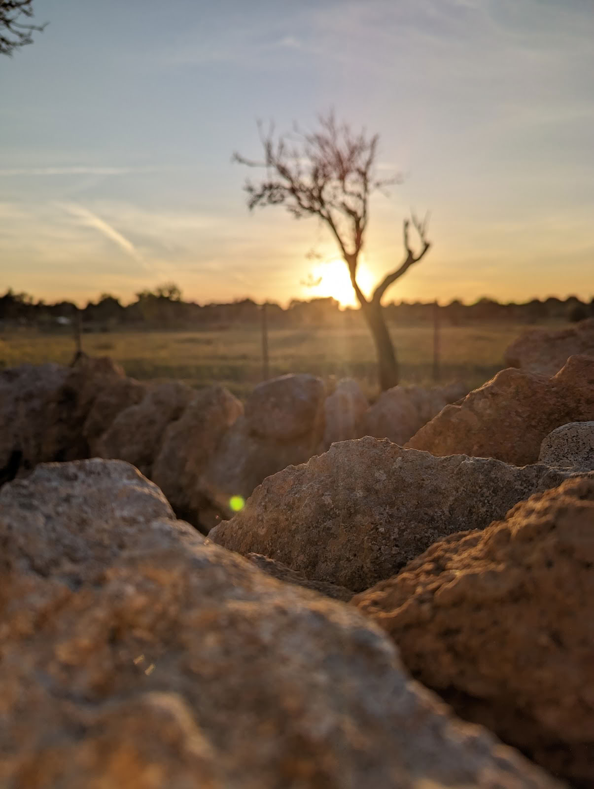 Ziels Tuin Retreats Mallorca