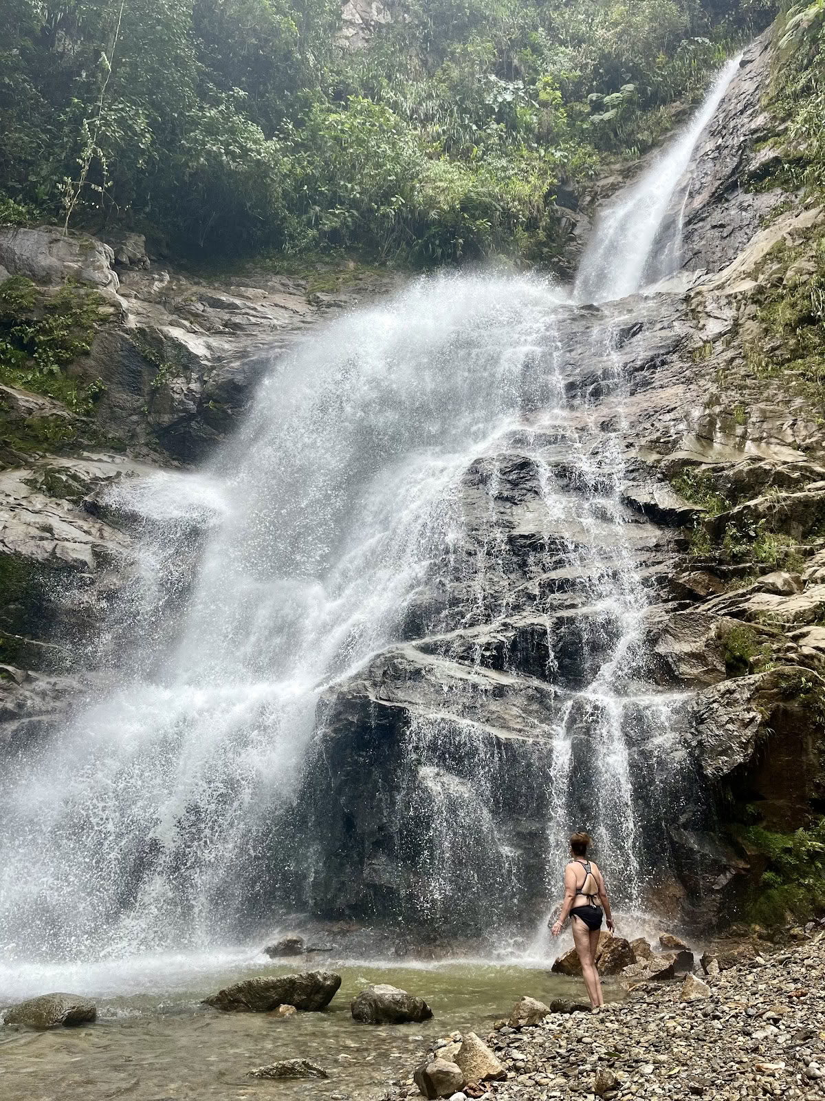 Hart van Pachamama