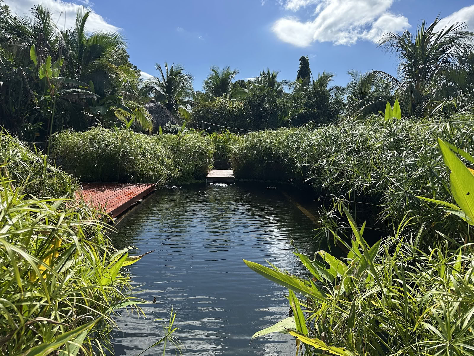 OM Island Retreats