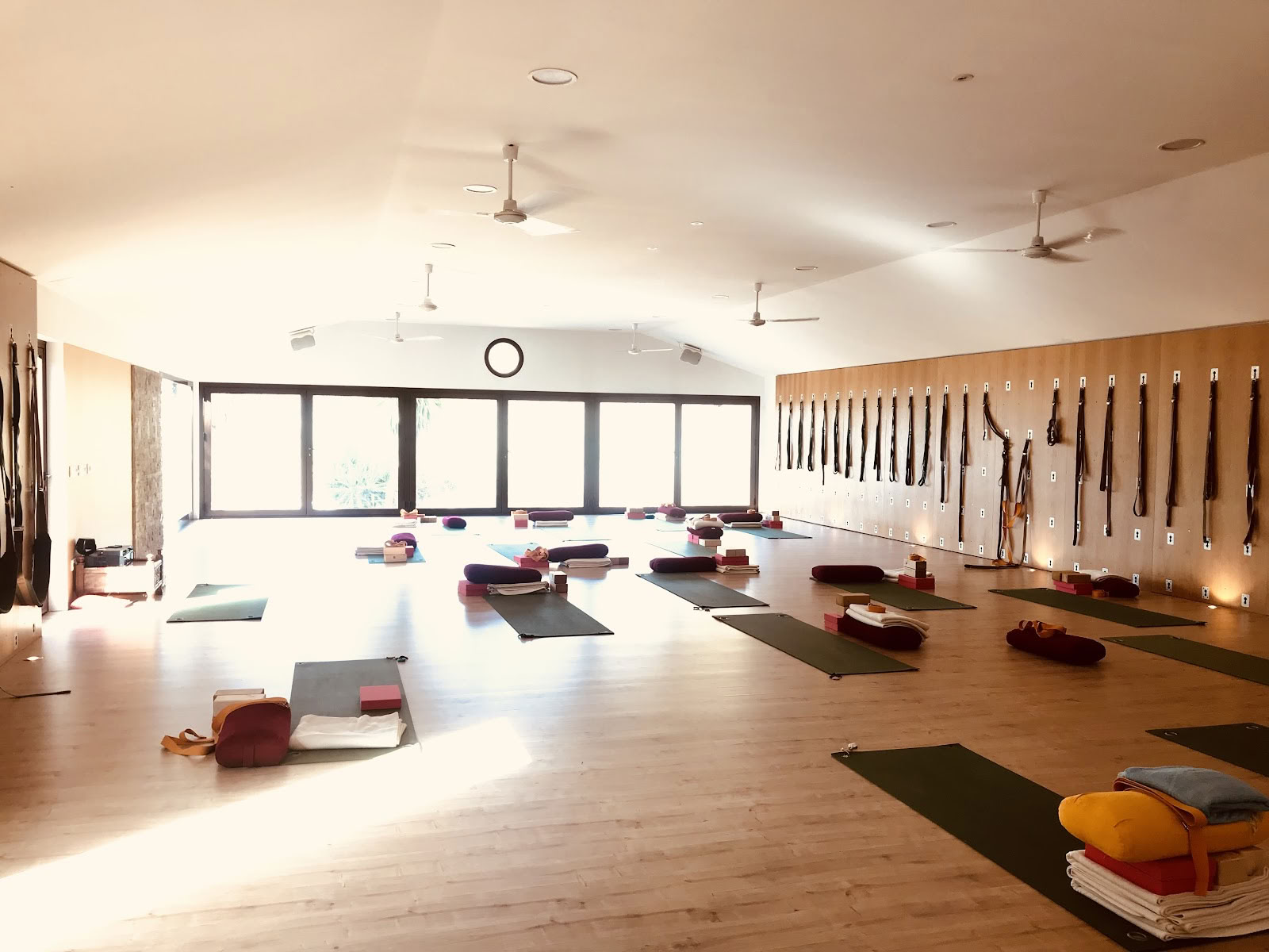 Rachel Lovegrove Yoga