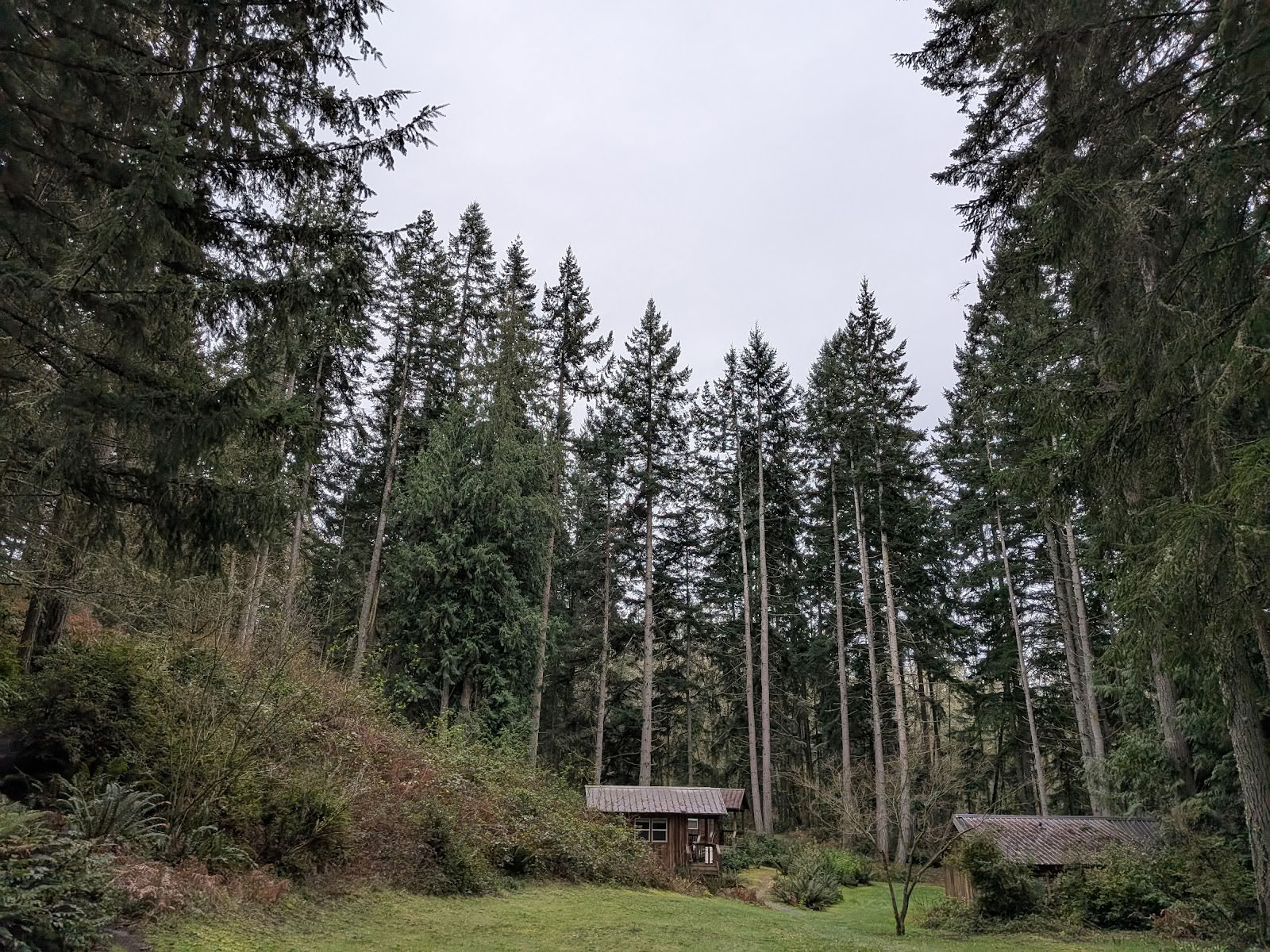 Het Whidbey Institute