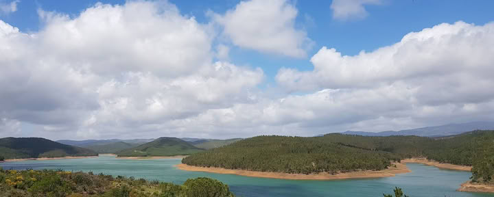 Sapdetox- en yogaretreat Moinhos Velhos
