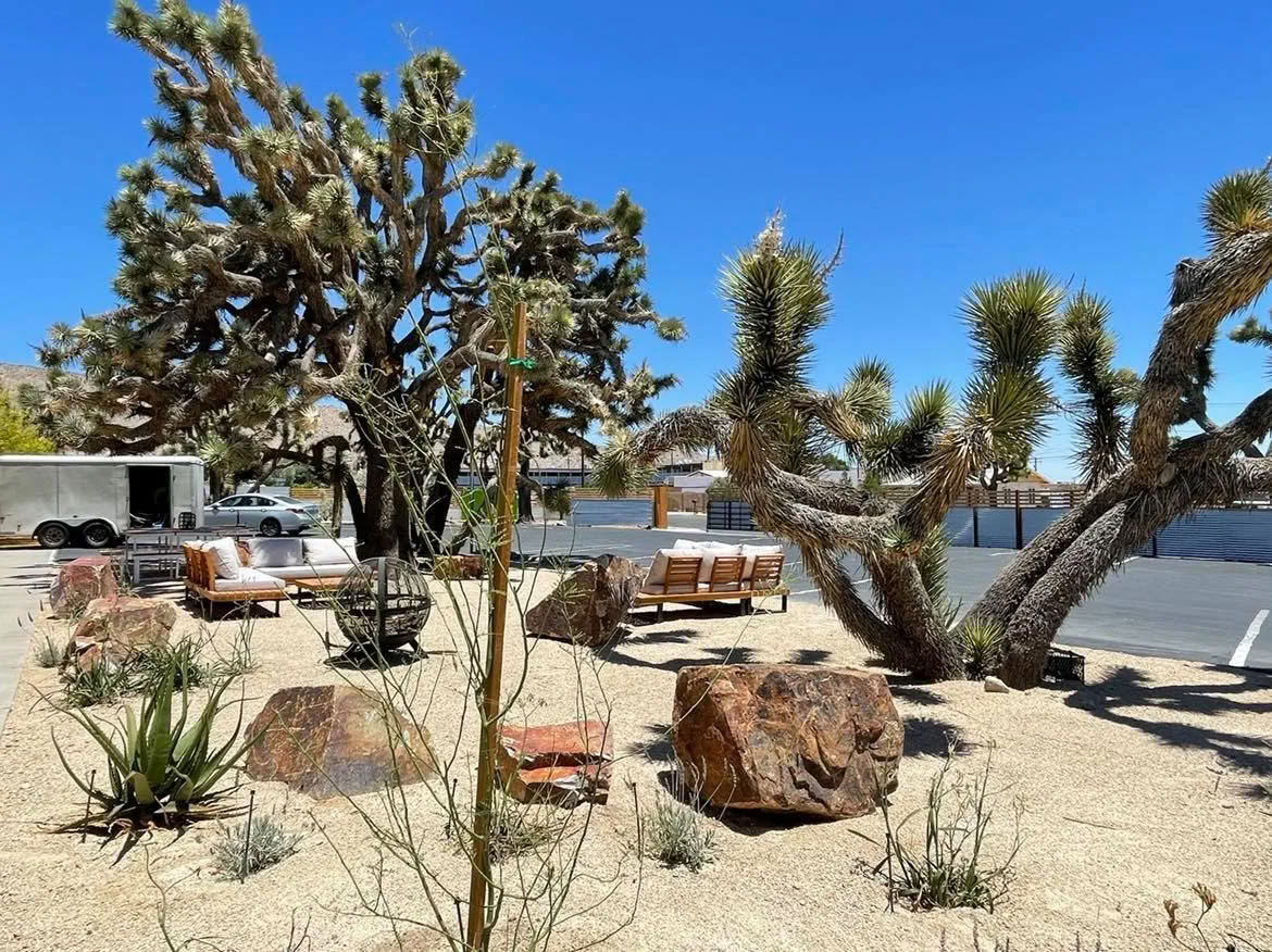 Yucca Shala