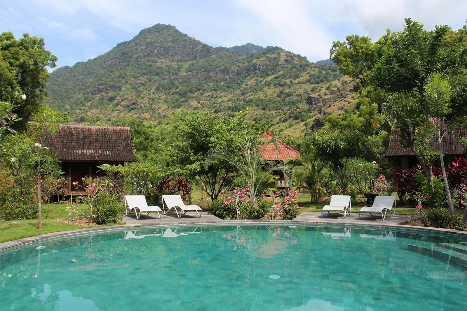 Alaya Ecolodge