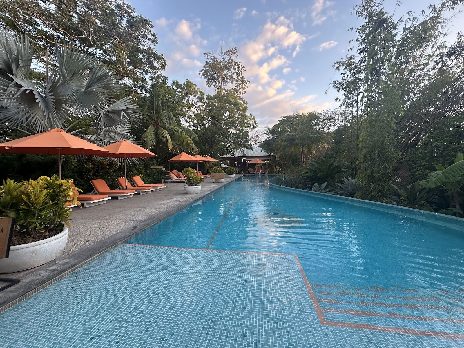 Bodhiboom Yoga Resort