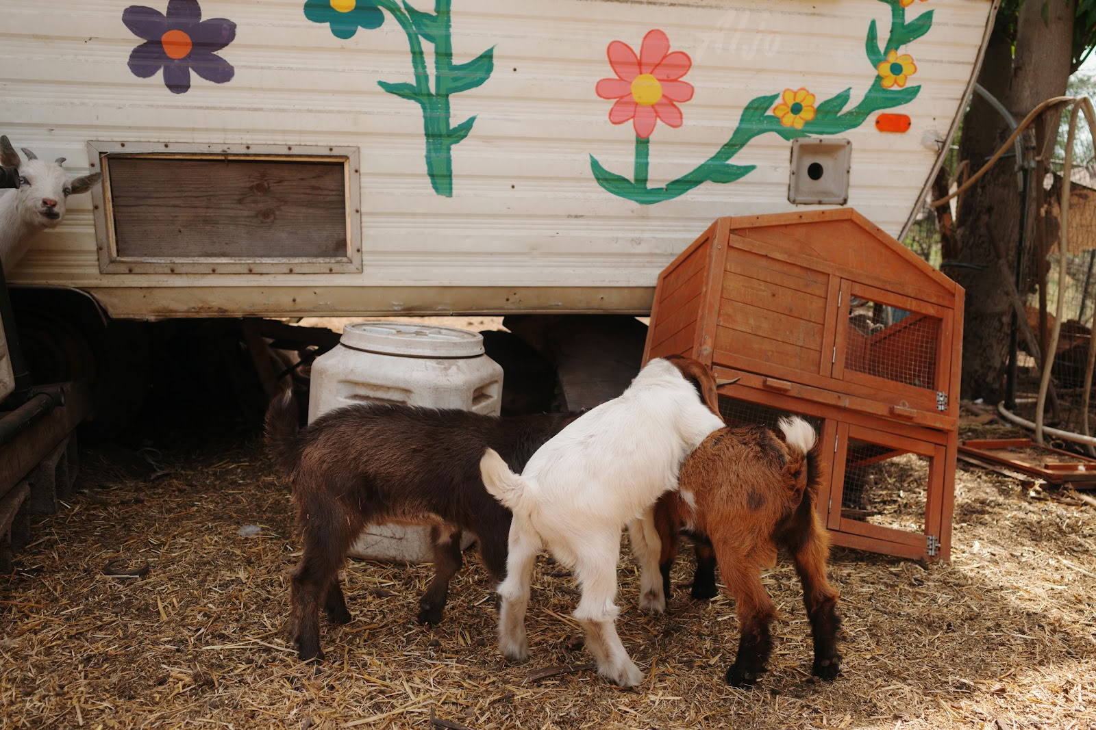 Splitrock Farm en Retreat
