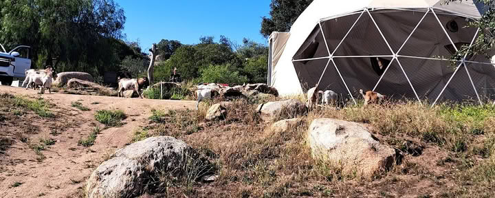 Splitrock Farm en Retreat