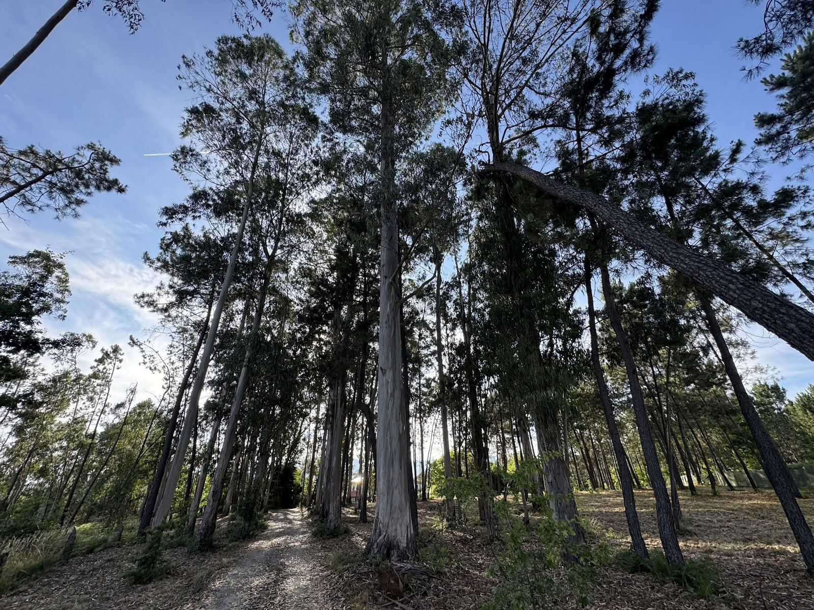 Catrinandes Retreatcentrum