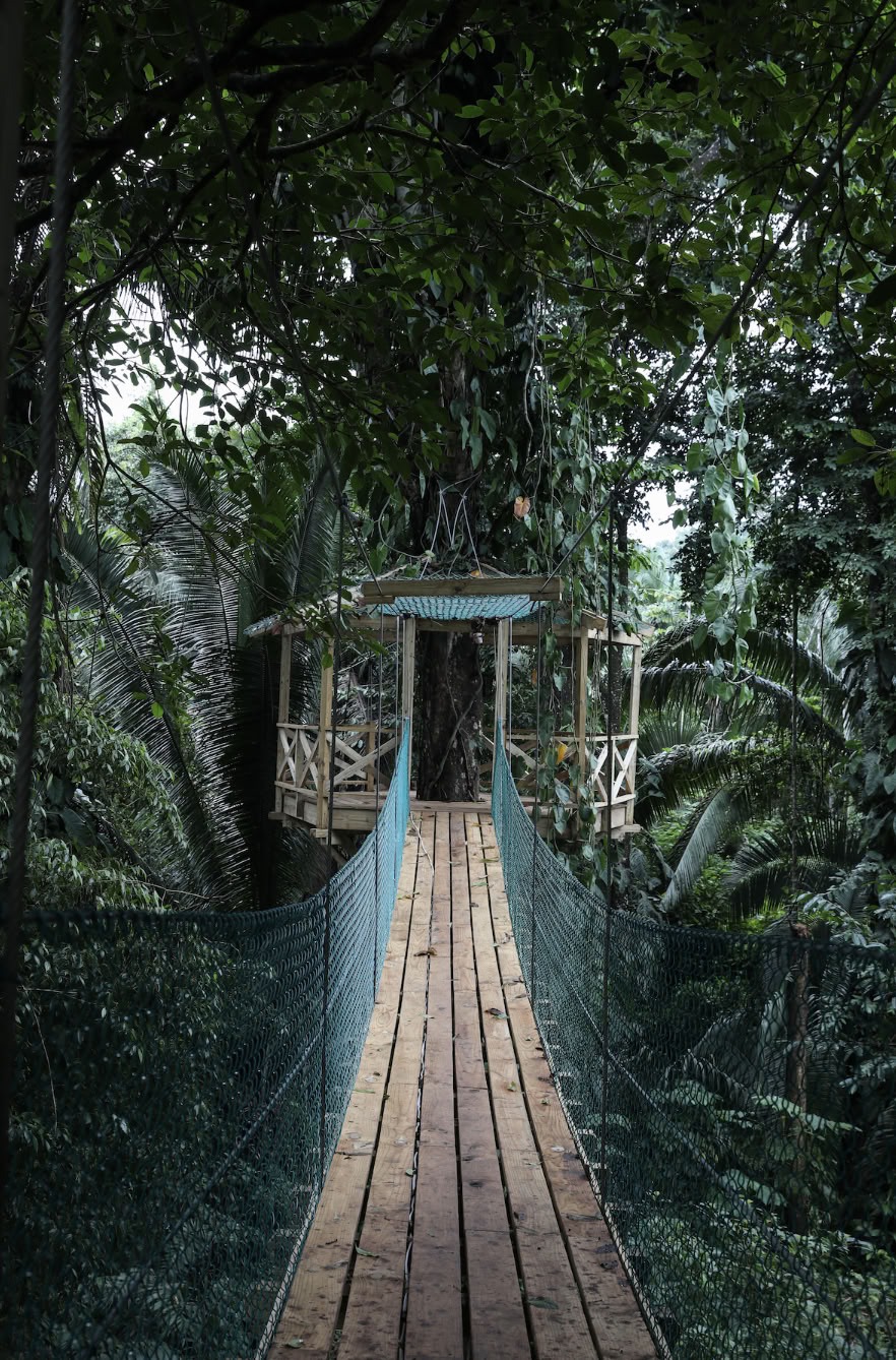 Jade Jungle Resort