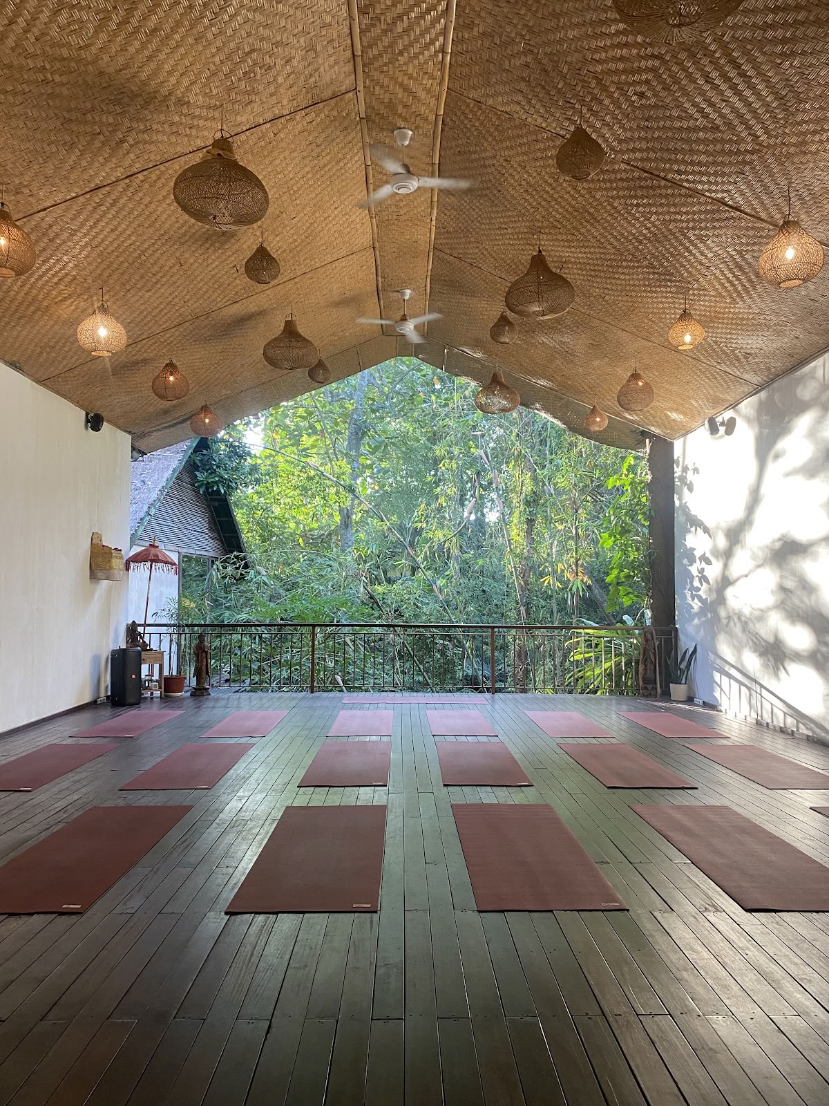 Stralend Levend Yoga