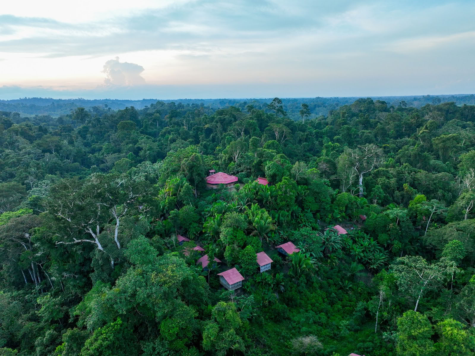 Madre Selva Resort