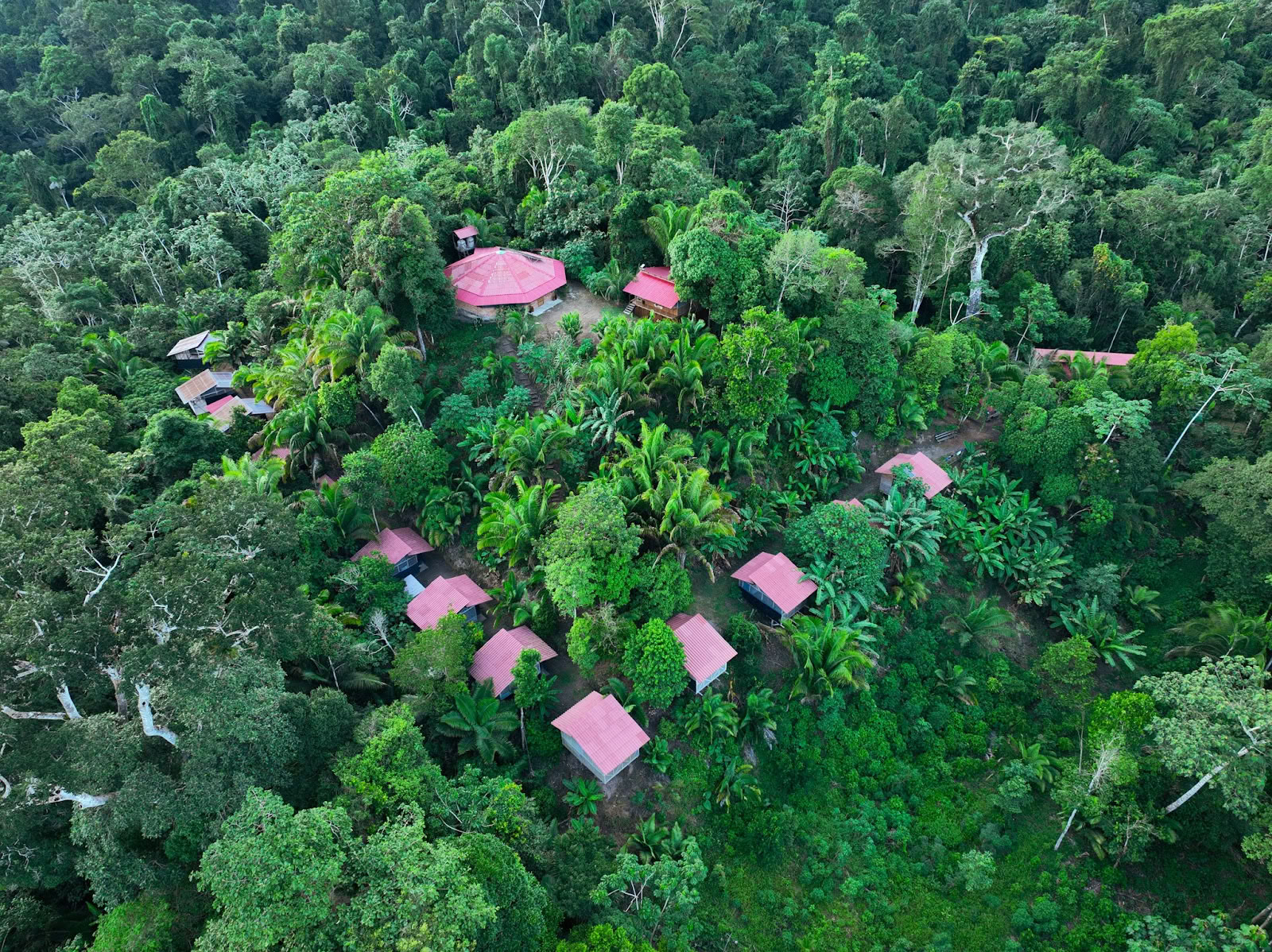 Madre Selva Resort