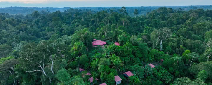 Madre Selva Resort