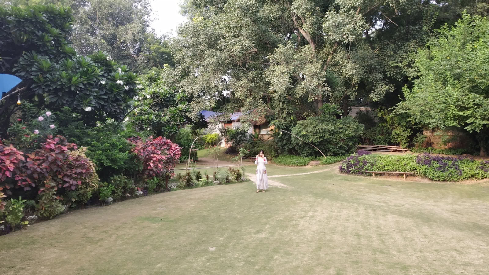 Zorba de Boeddha - New Delhi
