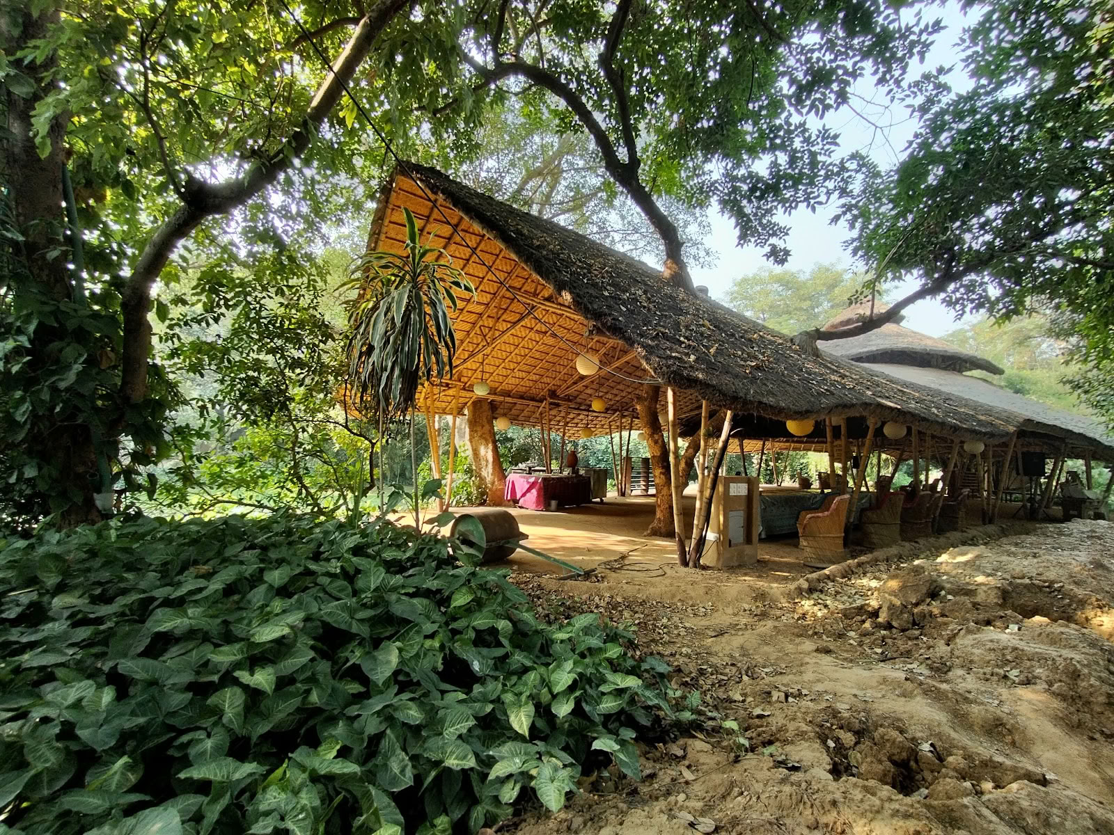 Zorba de Boeddha - New Delhi